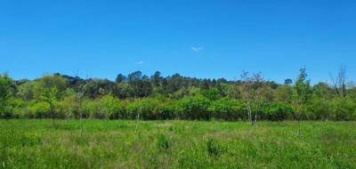 Terrain seul à Tourves en Var (83) de 1000 m² à vendre au prix de 142000€ - 3