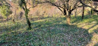 Terrain seul à Vence en Alpes-Maritimes (06) de 995 m² à vendre au prix de 295000€ - 4