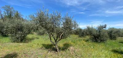 Terrain seul à Sainte-Tulle en Alpes-de-Haute-Provence (04) de 614 m² à vendre au prix de 150000€ - 3