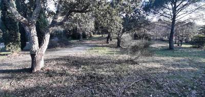 Terrain seul à Vidauban en Var (83) de 600 m² à vendre au prix de 149000€ - 3