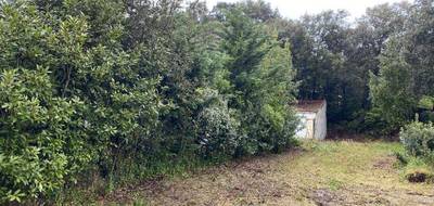 Terrain seul à Saint-Georges-d'Oléron en Charente-Maritime (17) de 817 m² à vendre au prix de 196800€ - 3
