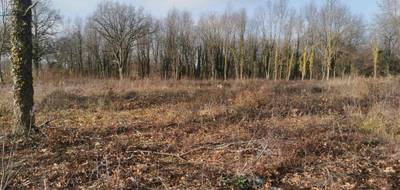 Programme terrain + maison à Saint-Étienne-de-Vicq en Allier (03) de 75 m² à vendre au prix de 168800€ - 3