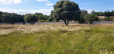 Programme terrain + maison à Jonquières en Vaucluse (84) de 90 m² à vendre au prix de 379000€ - 4