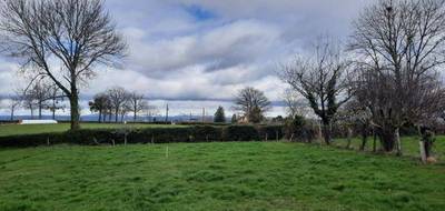 Terrain seul à Roannes-Saint-Mary en Cantal (15) de 1025 m² à vendre au prix de 24500€ - 1