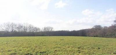 Programme terrain + maison à Villiers-au-Bouin en Indre-et-Loire (37) de 80 m² à vendre au prix de 190000€ - 4