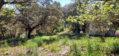 Terrain seul à Rians en Var (83) de 1840 m² à vendre au prix de 168000€ - 3