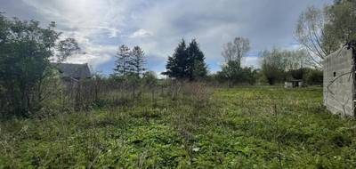Programme terrain + maison à Labourse en Pas-de-Calais (62) de 117 m² à vendre au prix de 307000€ - 3
