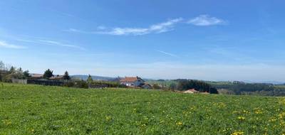 Terrain seul à Saint-Just-Malmont en Haute-Loire (43) de 893 m² à vendre au prix de 75000€ - 3