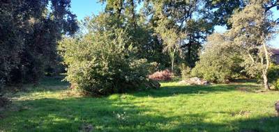 Terrain seul à Camps-la-Source en Var (83) de 509 m² à vendre au prix de 115000€ - 1