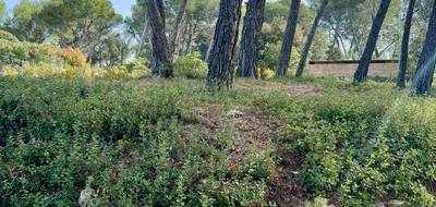Terrain seul à Cabriès en Bouches-du-Rhône (13) de 750 m² à vendre au prix de 350000€ - 1