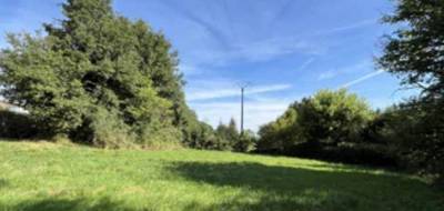 Terrain seul à Jeumont en Nord (59) de 3300 m² à vendre au prix de 45000€ - 1