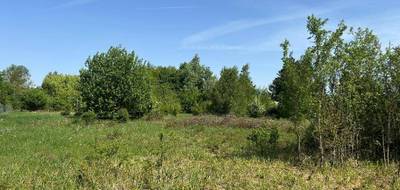 Programme terrain + maison à Lestrem en Pas-de-Calais (62) de 150 m² à vendre au prix de 420000€ - 3