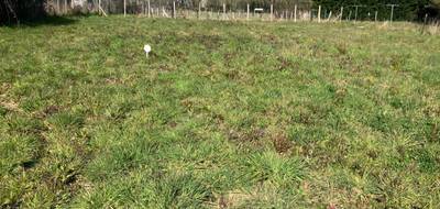 Terrain seul à Saint-Césaire en Charente-Maritime (17) de 460 m² à vendre au prix de 36800€ - 2