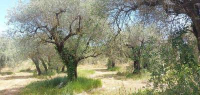 Terrain seul à Opio en Alpes-Maritimes (06) de 2550 m² à vendre au prix de 690000€ - 1