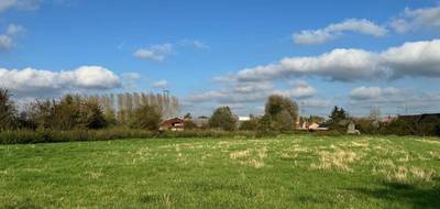 Programme terrain + maison à Bruille-lez-Marchiennes en Nord (59) de 115 m² à vendre au prix de 237000€ - 4