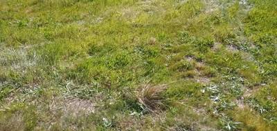 Terrain seul à Gujan-Mestras en Gironde (33) de 590 m² à vendre au prix de 290000€ - 4