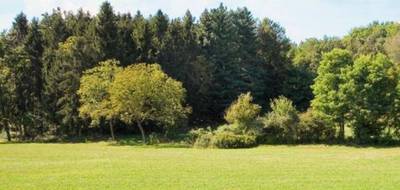 Terrain seul à Bonneville-sur-Touques en Calvados (14) de 3077 m² à vendre au prix de 367500€ - 1