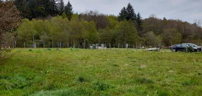 Terrain seul à Compreignac en Haute-Vienne (87) de 1200 m² à vendre au prix de 34000€ - 4