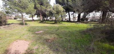 Terrain seul à Le Muy en Var (83) de 1018 m² à vendre au prix de 235000€ - 2