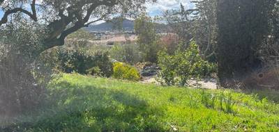 Terrain seul à Ollioules en Var (83) de 550 m² à vendre au prix de 269000€ - 1