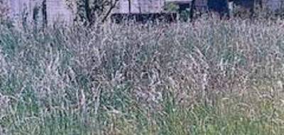 Programme terrain + maison à Grez-sur-Loing en Seine-et-Marne (77) de 90 m² à vendre au prix de 315000€ - 3