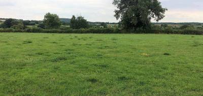 Terrain seul à Chalmoux en Saône-et-Loire (71) de 1323 m² à vendre au prix de 13230€ - 2