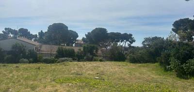 Terrain seul à Sausset-les-Pins en Bouches-du-Rhône (13) de 430 m² à vendre au prix de 375000€ - 3