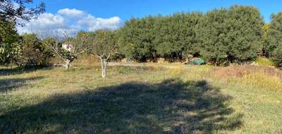 Programme terrain + maison à Saint-Cyr-sur-Mer en Var (83) de 77 m² à vendre au prix de 548000€ - 4