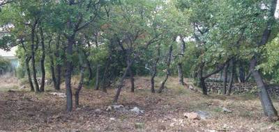 Terrain seul à Forcalquier en Alpes-de-Haute-Provence (04) de 880 m² à vendre au prix de 135000€ - 1