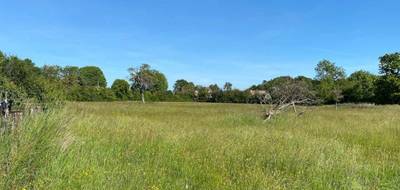 Programme terrain + maison à Auberville en Calvados (14) de 125 m² à vendre au prix de 439700€ - 4