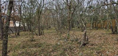 Programme terrain + maison à Trans-en-Provence en Var (83) de 93 m² à vendre au prix de 349000€ - 3
