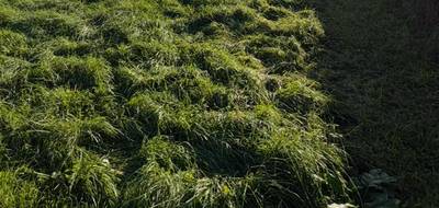 Terrain seul à Artigues-près-Bordeaux en Gironde (33) de 370 m² à vendre au prix de 140000€ - 1