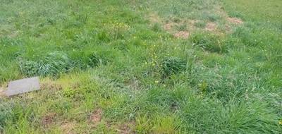Terrain seul à Gujan-Mestras en Gironde (33) de 502 m² à vendre au prix de 289000€ - 1
