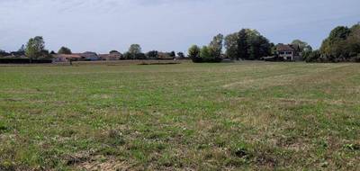 Terrain seul à Lannemezan en Hautes-Pyrénées (65) de 1761 m² à vendre au prix de 54000€ - 2