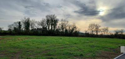 Programme terrain + maison à Port-Saint-Père en Loire-Atlantique (44) de 351 m² à vendre au prix de 243796€ - 4