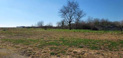 Programme terrain + maison à Vieillevigne en Loire-Atlantique (44) de 354 m² à vendre au prix de 246698€ - 4