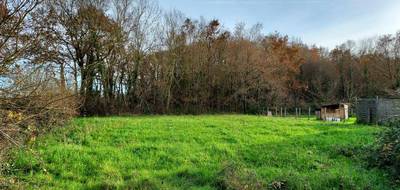 Programme terrain + maison à Basse-Goulaine en Loire-Atlantique (44) de 506 m² à vendre au prix de 392809€ - 4