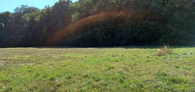 Programme terrain + maison à Girolles en Loiret (45) de 1304 m² à vendre au prix de 209083€ - 4