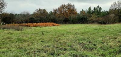 Terrain seul à Les Rairies en Maine-et-Loire (49) de 3250 m² à vendre au prix de 105000€ - 1