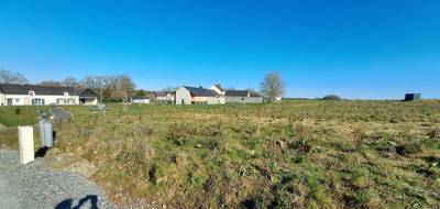 Programme terrain + maison à Plurien en Côtes-d'Armor (22) de 433 m² à vendre au prix de 251418€ - 4