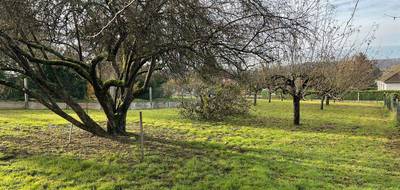 Programme terrain + maison à Villechauve en Loir-et-Cher (41) de 1100 m² à vendre au prix de 153735€ - 3