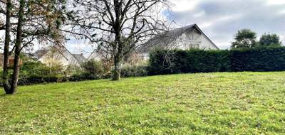 Programme terrain + maison à Berric en Morbihan (56) de 321 m² à vendre au prix de 208762€ - 3