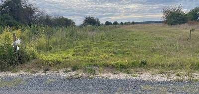 Programme terrain + maison à Menars en Loir-et-Cher (41) de 600 m² à vendre au prix de 174235€ - 3