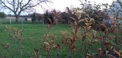 Programme terrain + maison à Bouzonville-aux-Bois en Loiret (45) de 900 m² à vendre au prix de 272441€ - 4