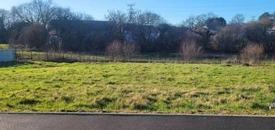 Programme terrain + maison à Gueltas en Morbihan (56) de 738 m² à vendre au prix de 364213€ - 4