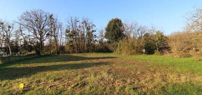 Programme terrain + maison à Monteaux en Loir-et-Cher (41) de 1041 m² à vendre au prix de 257441€ - 4