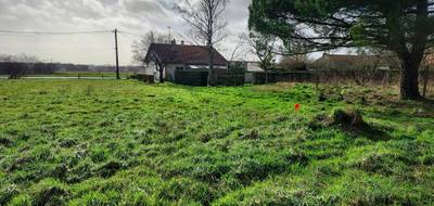 Programme terrain + maison à Rezé en Loire-Atlantique (44) de 470 m² à vendre au prix de 407809€ - 4