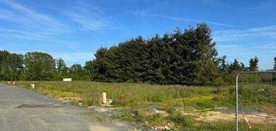 Terrain seul à Baugé-en-Anjou en Maine-et-Loire (49) de 376 m² à vendre au prix de 30080€ - 2