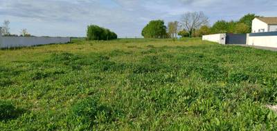 Terrain seul à Dompierre-sur-Mer en Charente-Maritime (17) de 492 m² à vendre au prix de 234000€ - 1