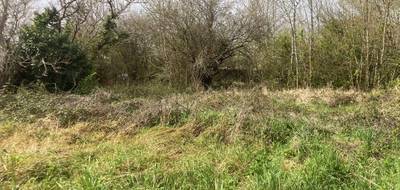 Terrain seul à Eyrans en Gironde (33) de 716 m² à vendre au prix de 41000€ - 1